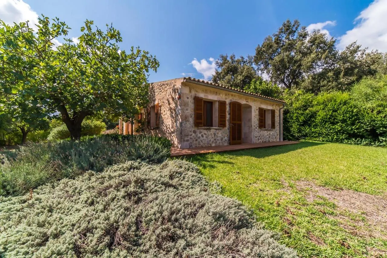 Ideal Property Mallorca - Sa Vela Campanet España