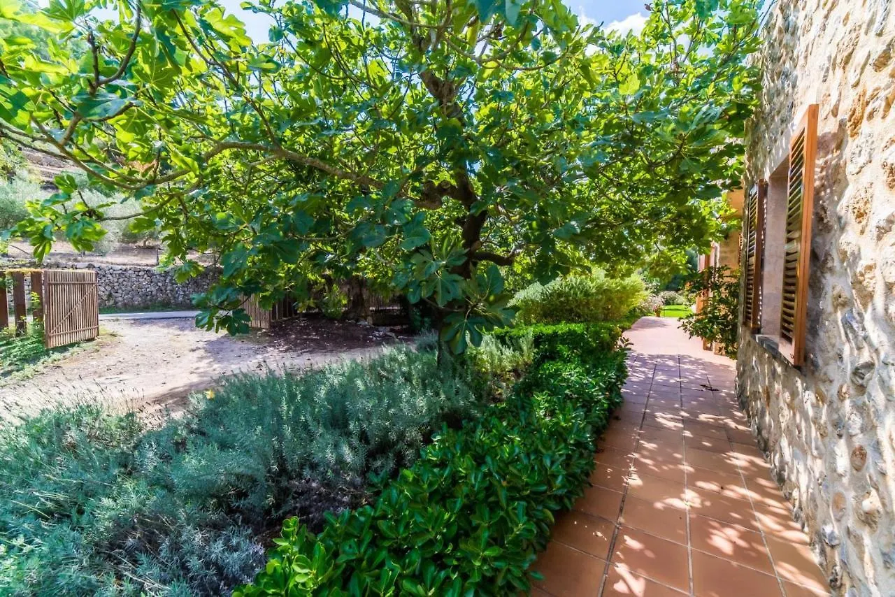 Ideal Property Mallorca - Sa Vela Campanet 0*,  Spain
